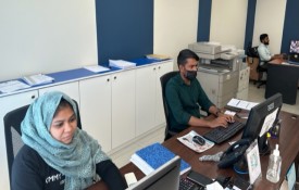 SYNERGY TYPING SERVICES